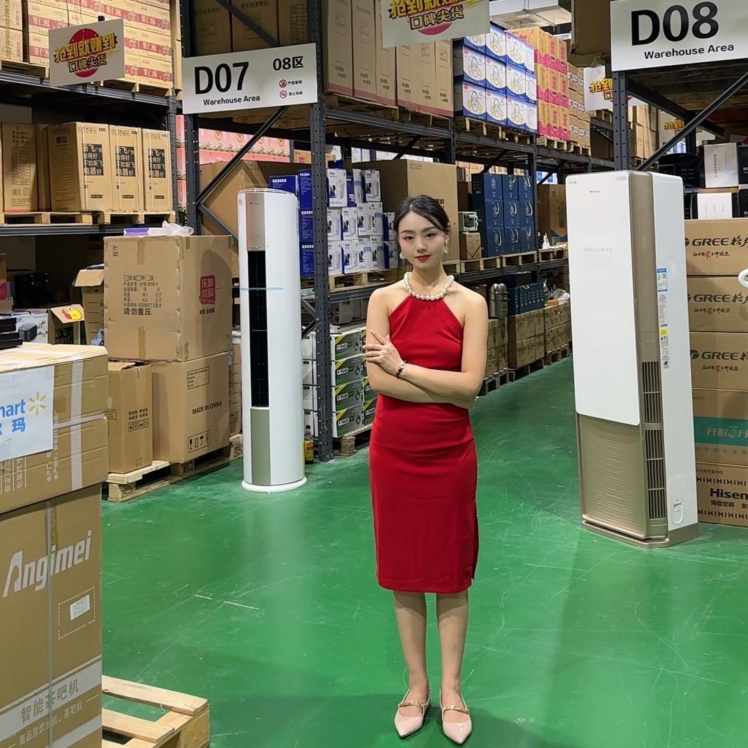 嘉众国际李静雅