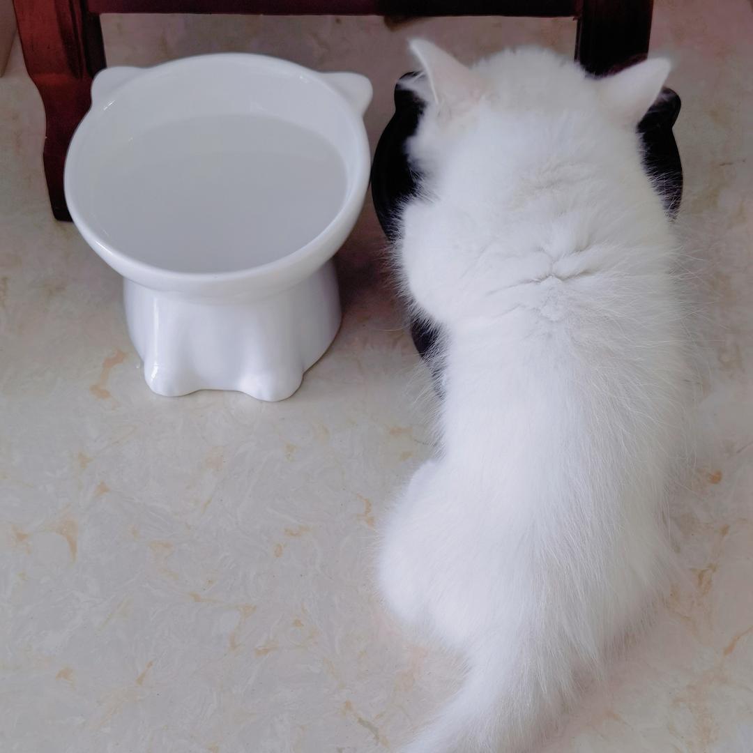 王大头
