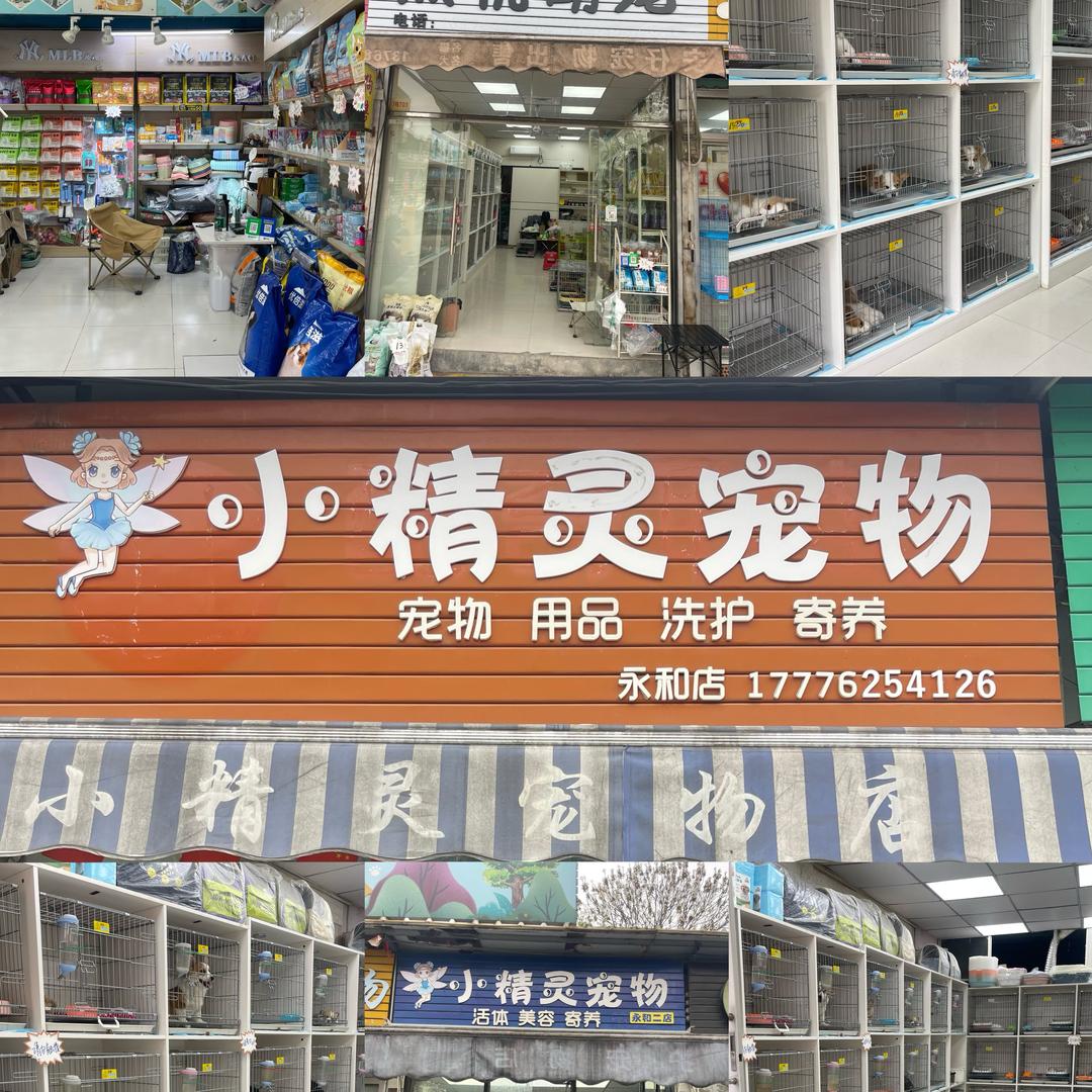 南宁市小精灵宠物店