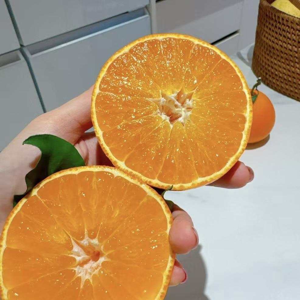 果果家的好果子