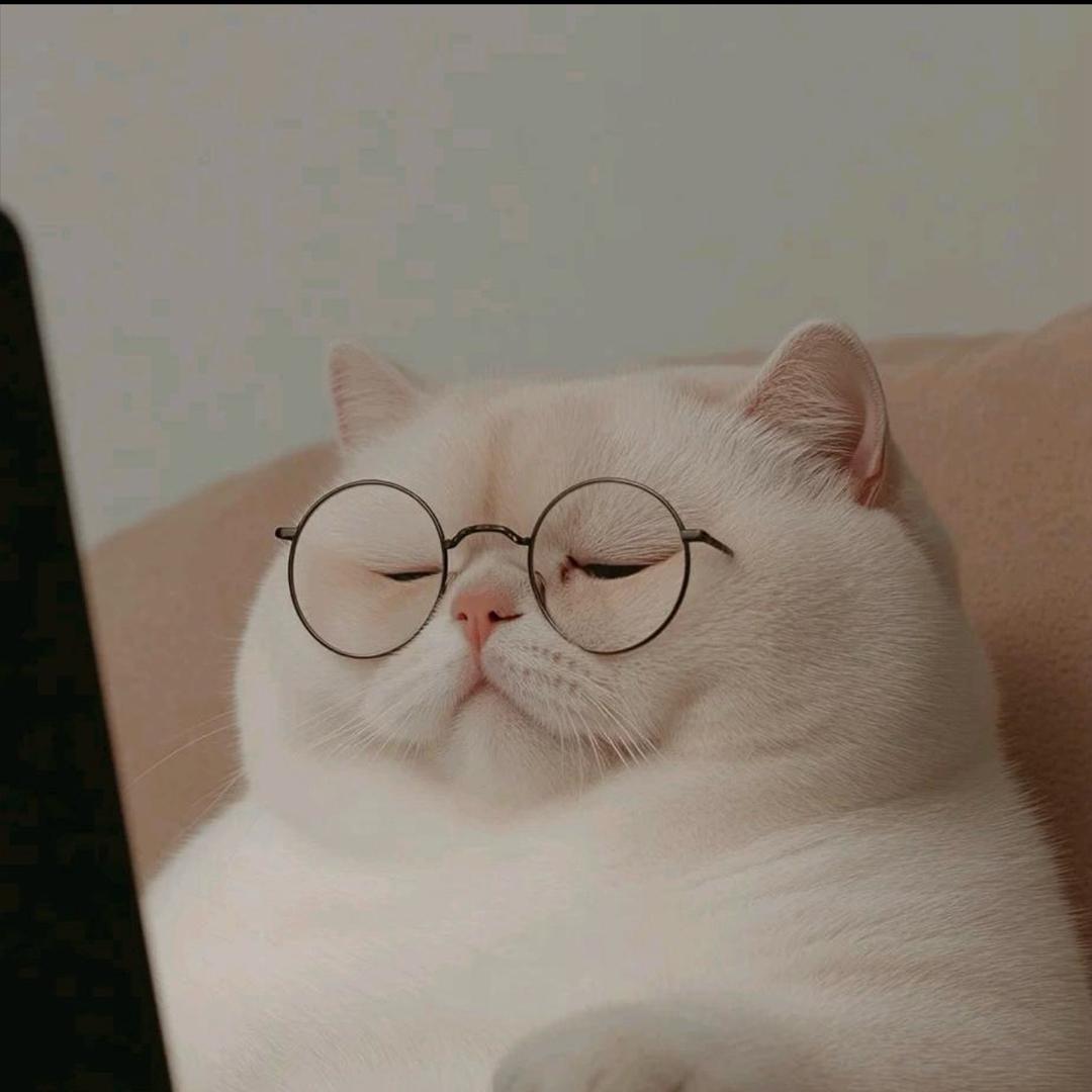 人间🧚