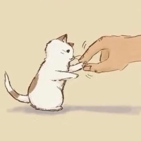 云叔吸猫