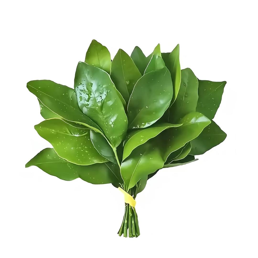 U.mi