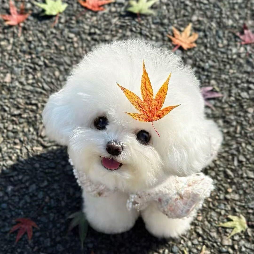 顺清百货店
