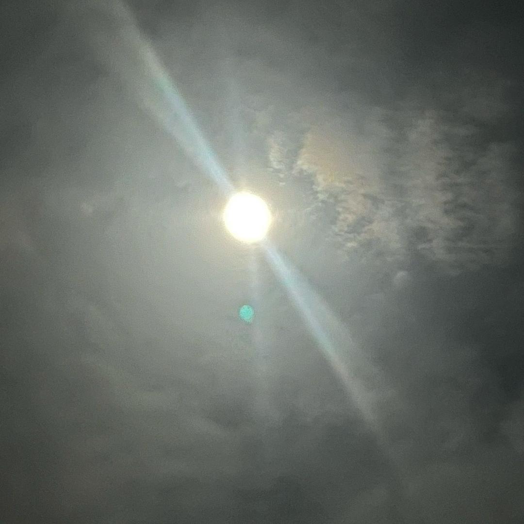 黑色毛衣2
