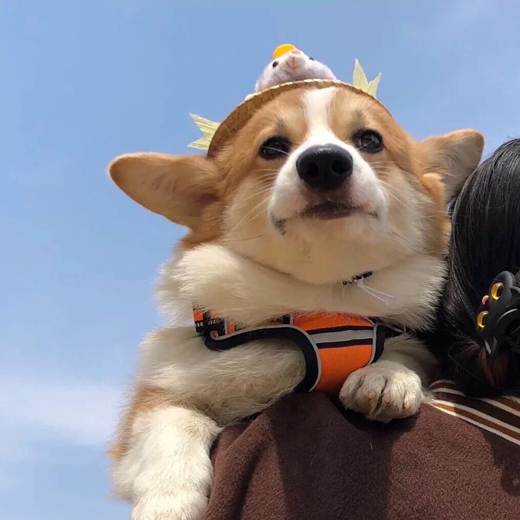 来一杯美式咖啡