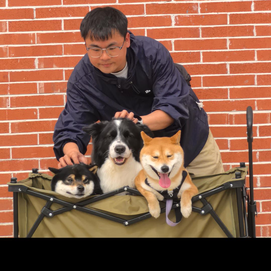 老顾养狗