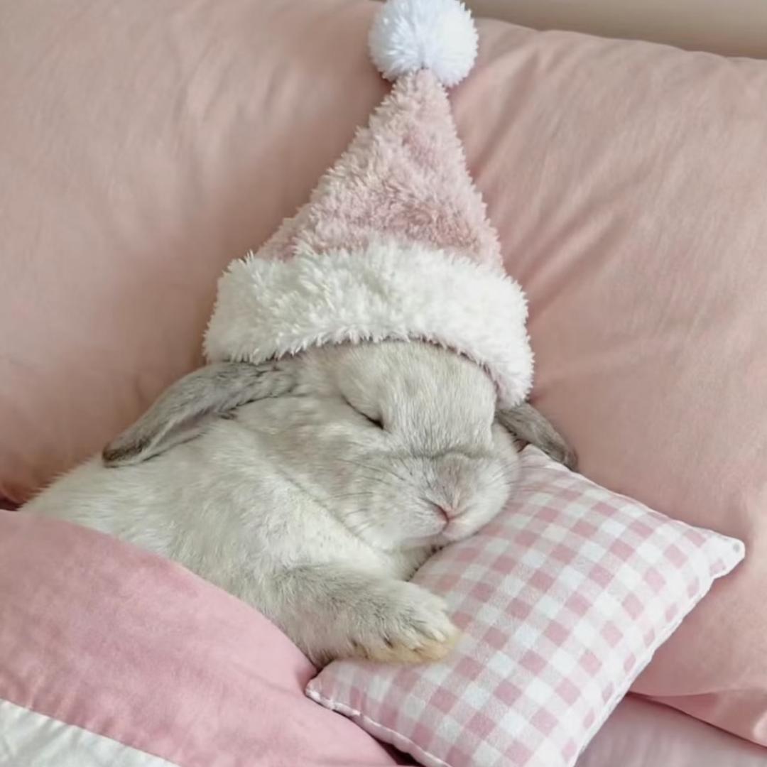 让我咬一口吧