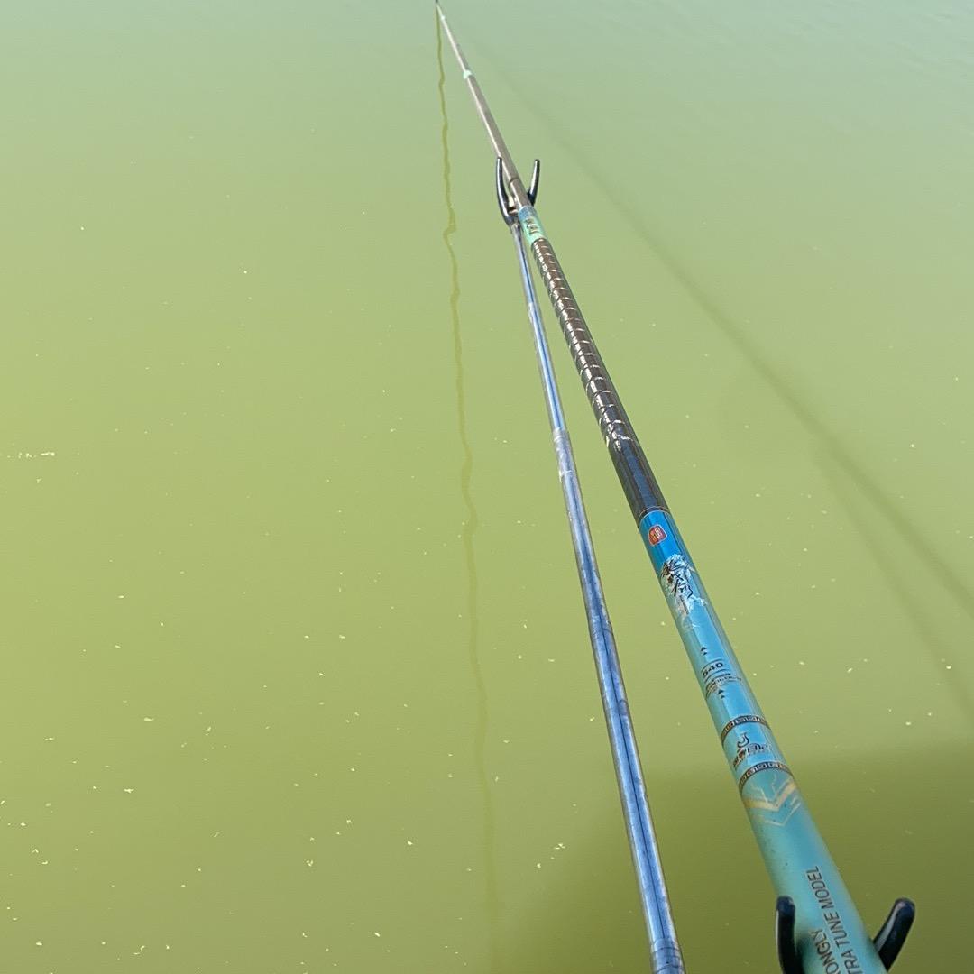 大师兄🎣