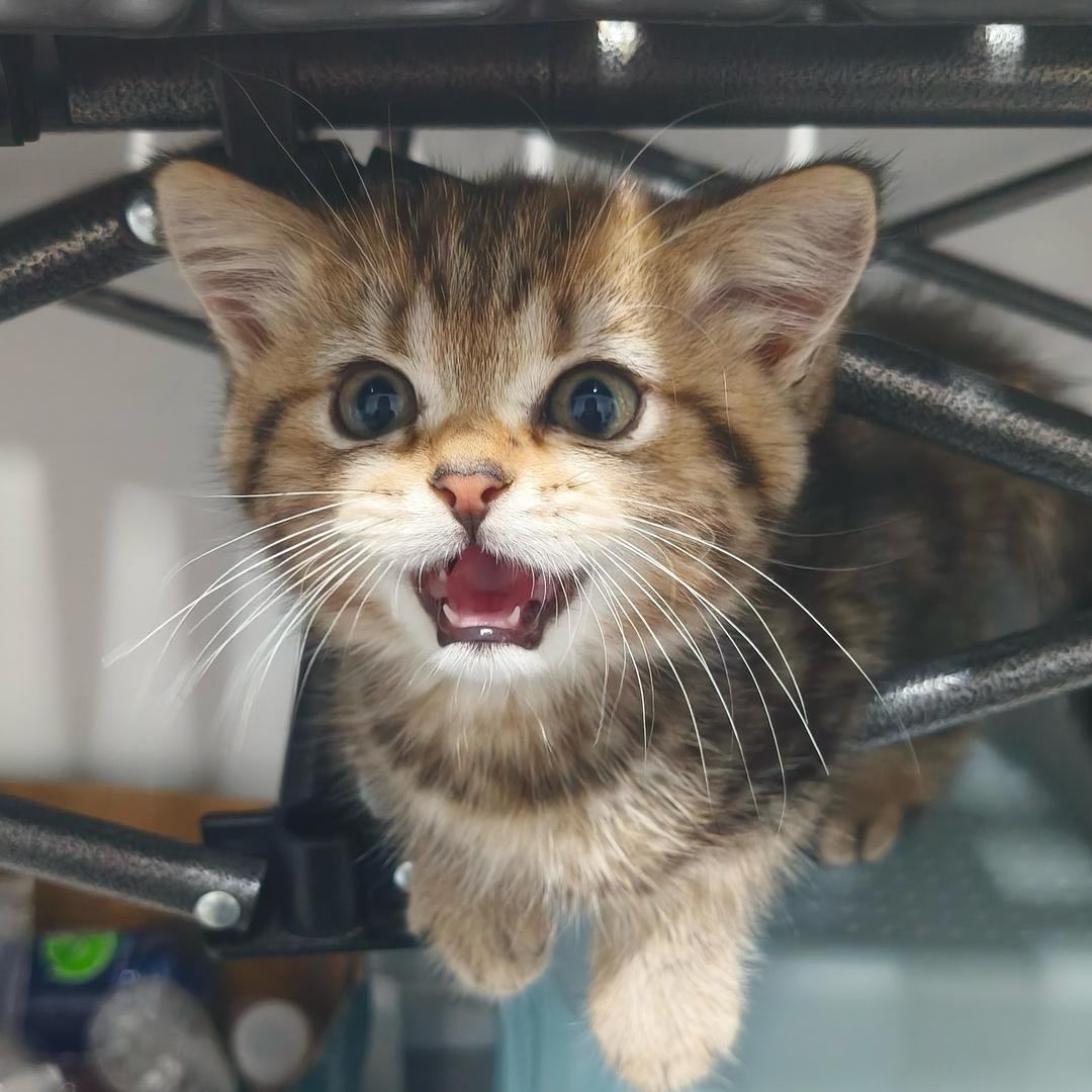 老公为爱当0出走的那个雨夜