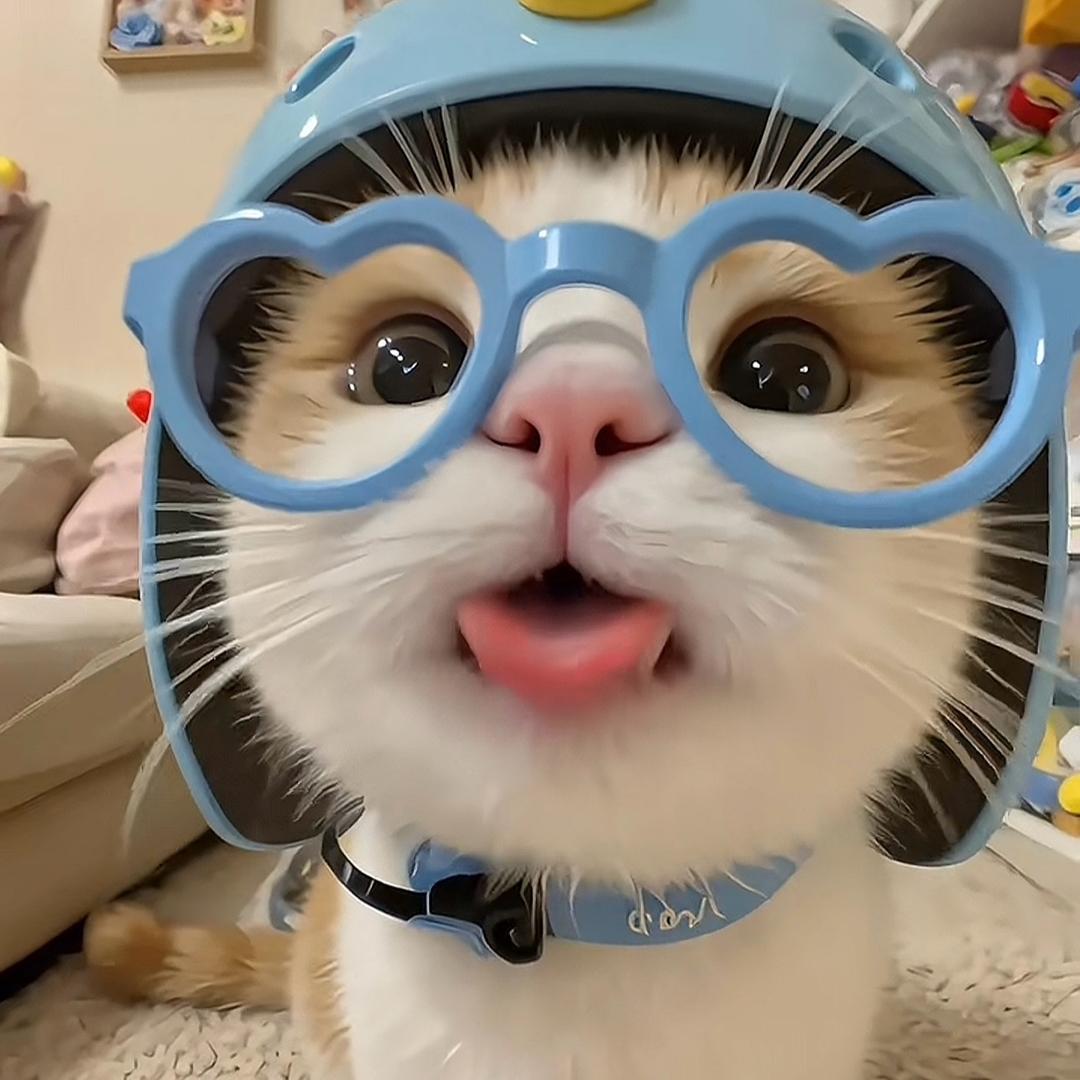 ૮◍⁰ᯅ⁰◍ა