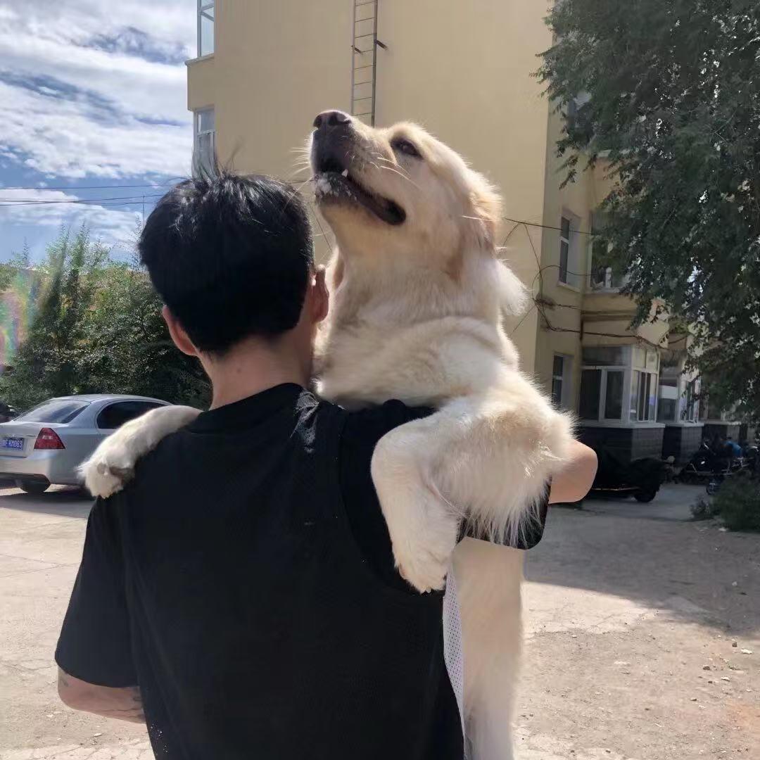 瑞的家（备婚版）