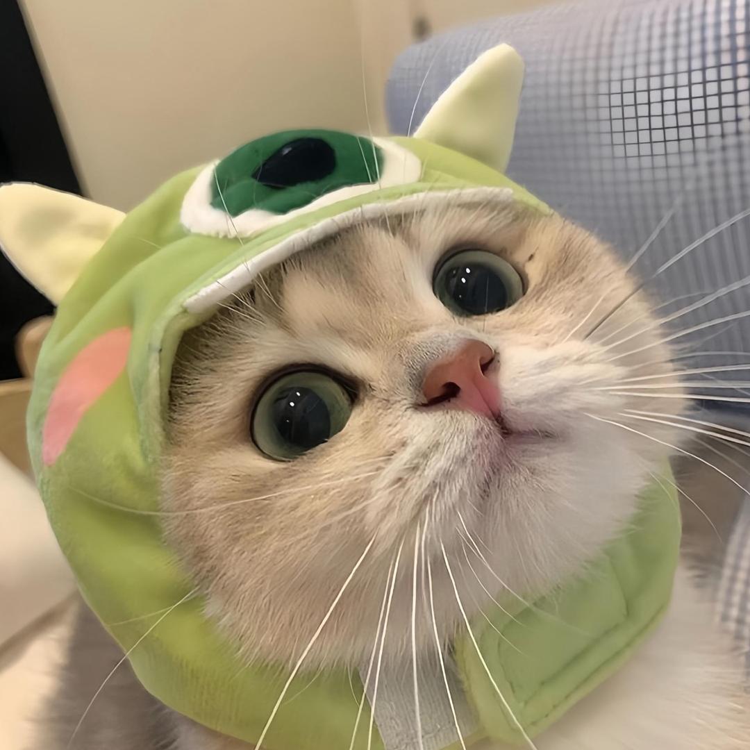 菠萝包