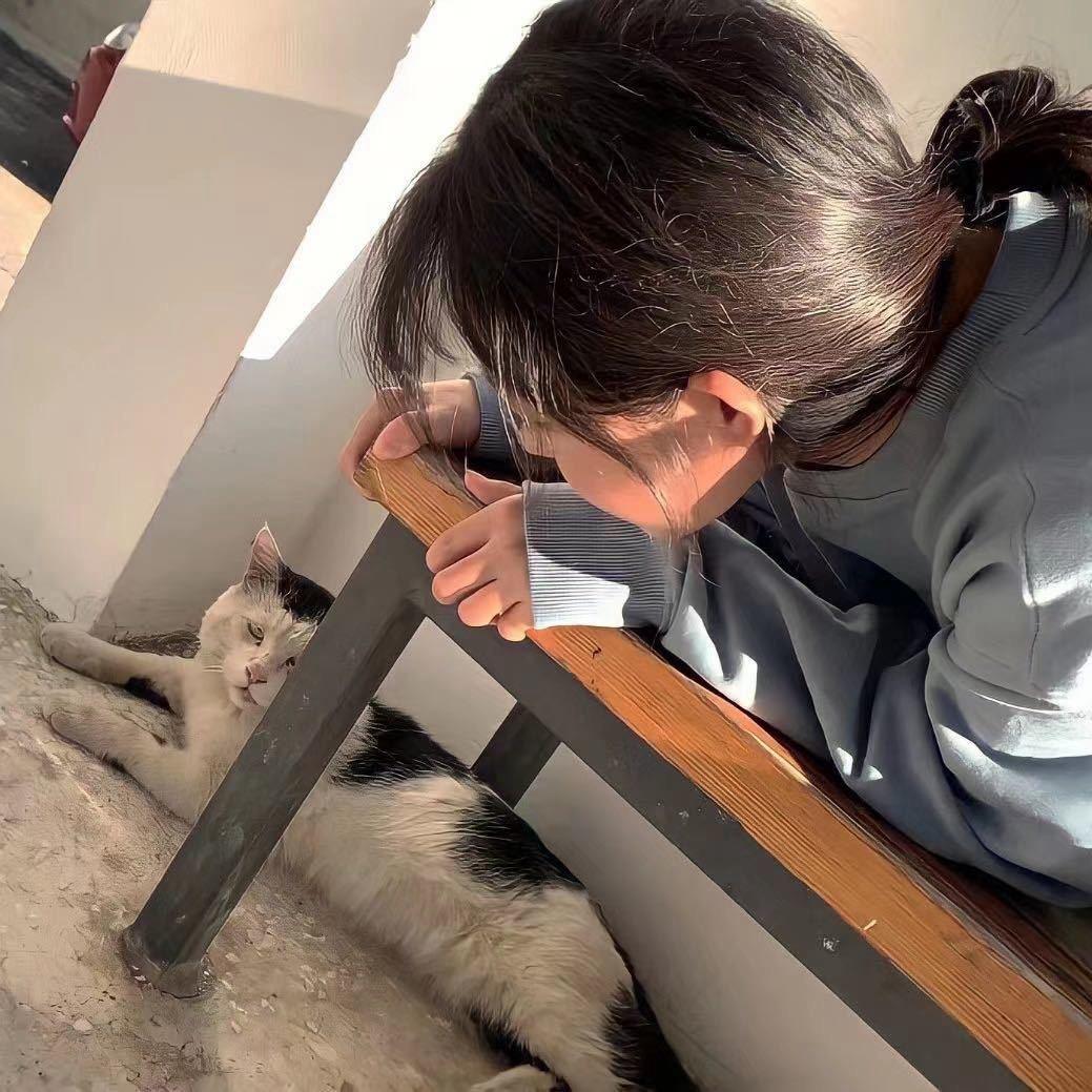 不吃香菜