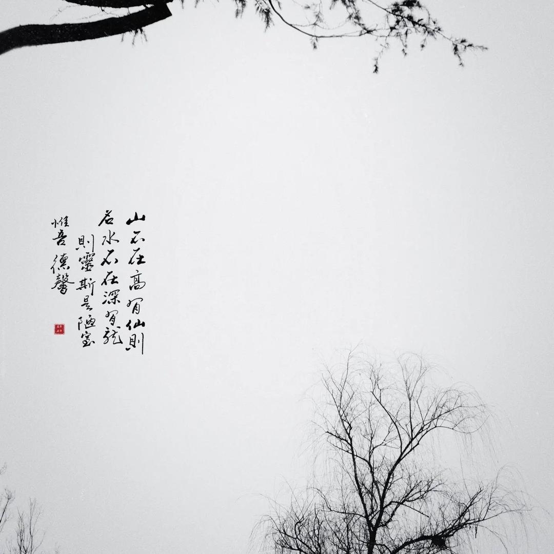追月