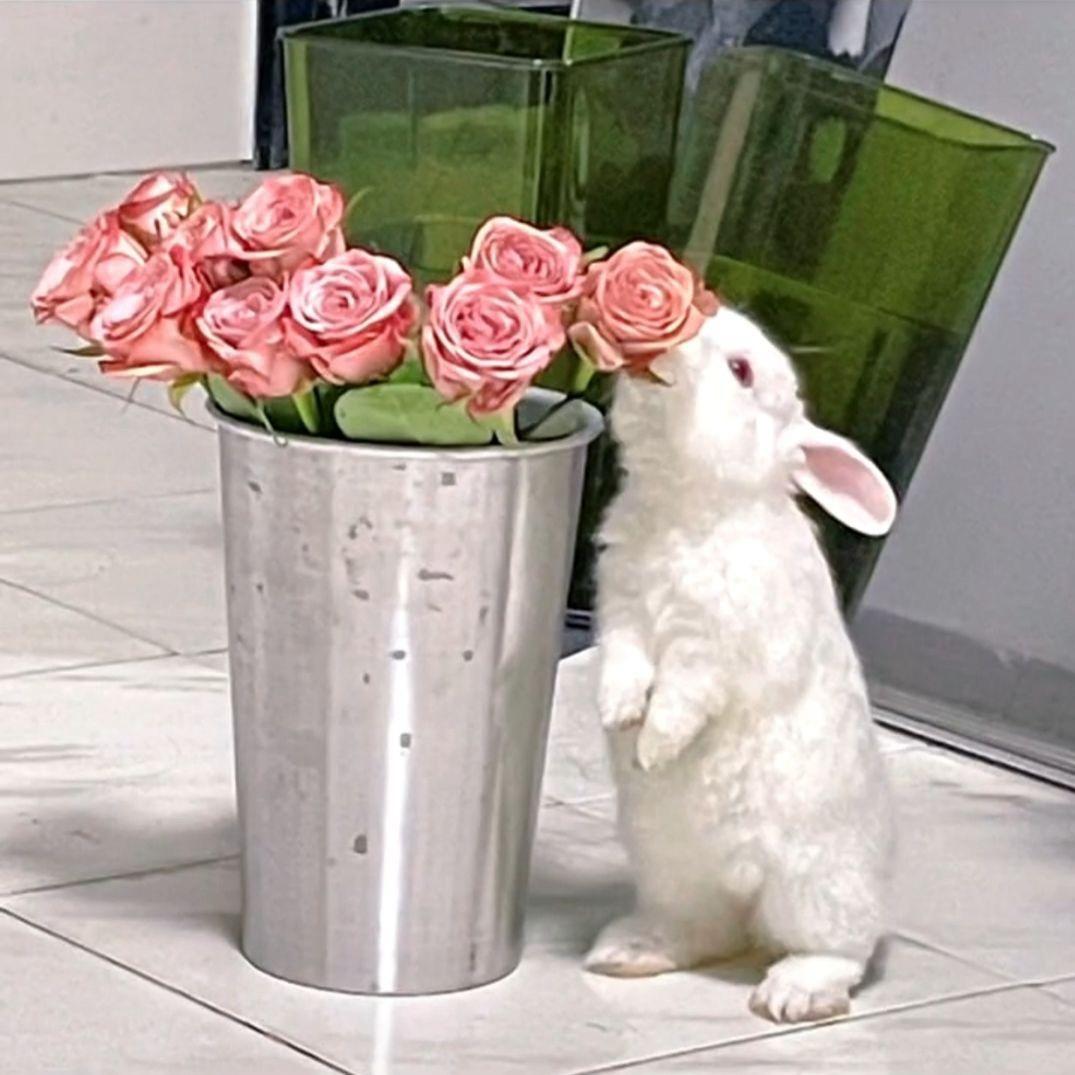 王一🫧无敌大王版