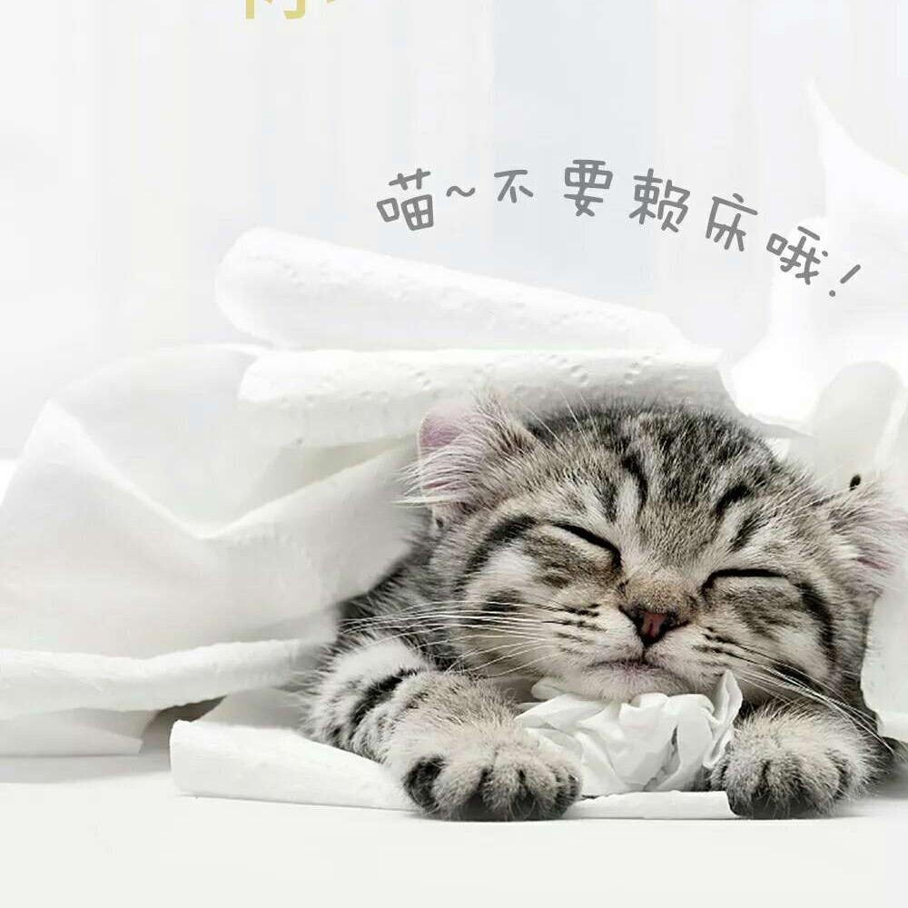 小咪