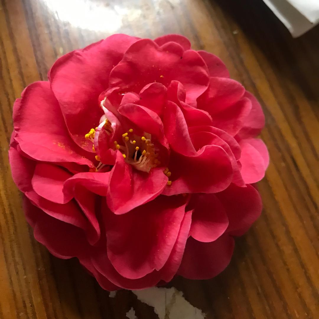 我就是我，