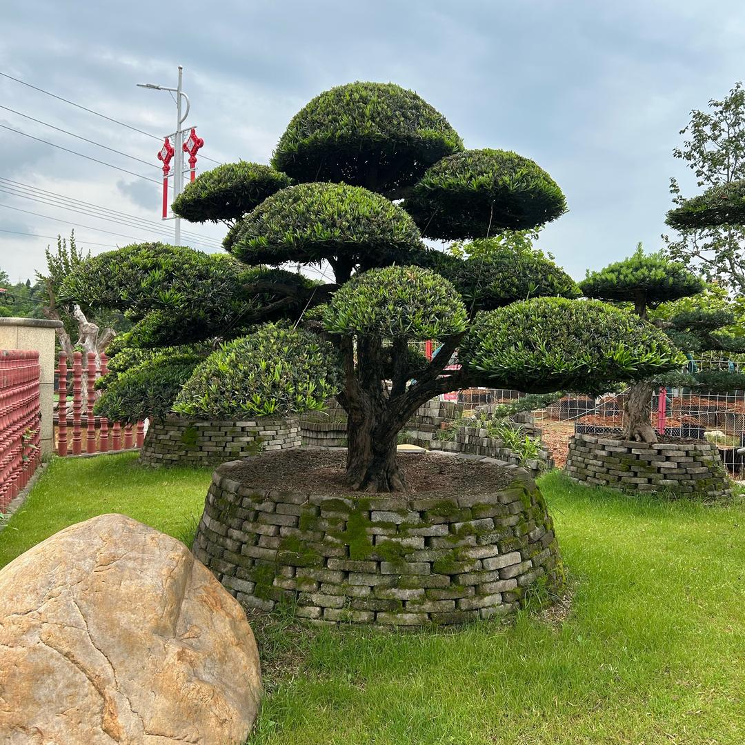 小万园林