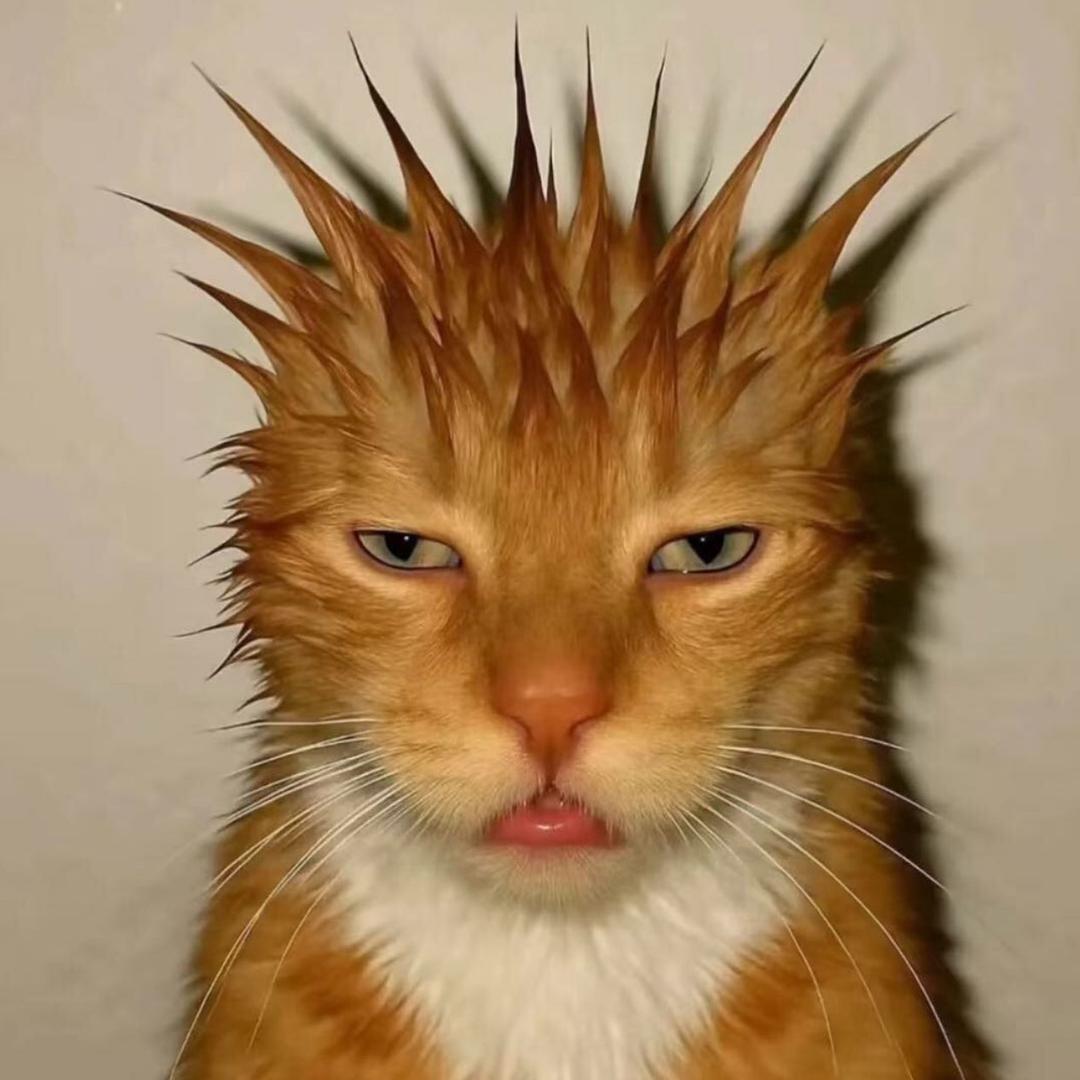 🧈