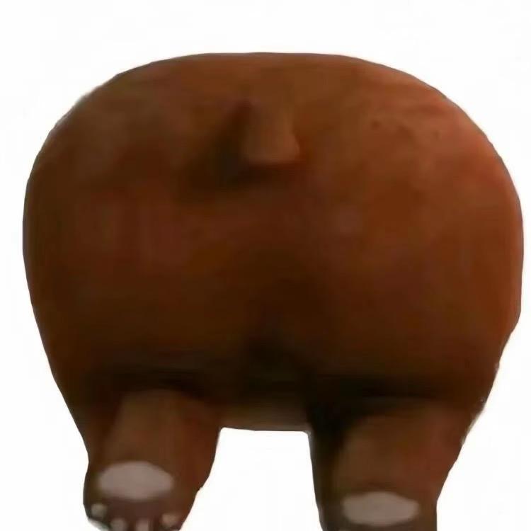 🌈￴￴￴ ￴￴   ￴ ￴ ￴￴