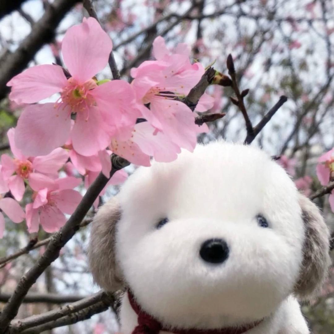 蛋黄莲蓉酥