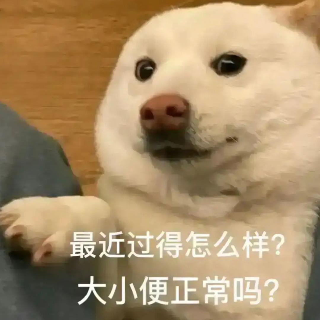 🌈疯狂大小鼠🐹