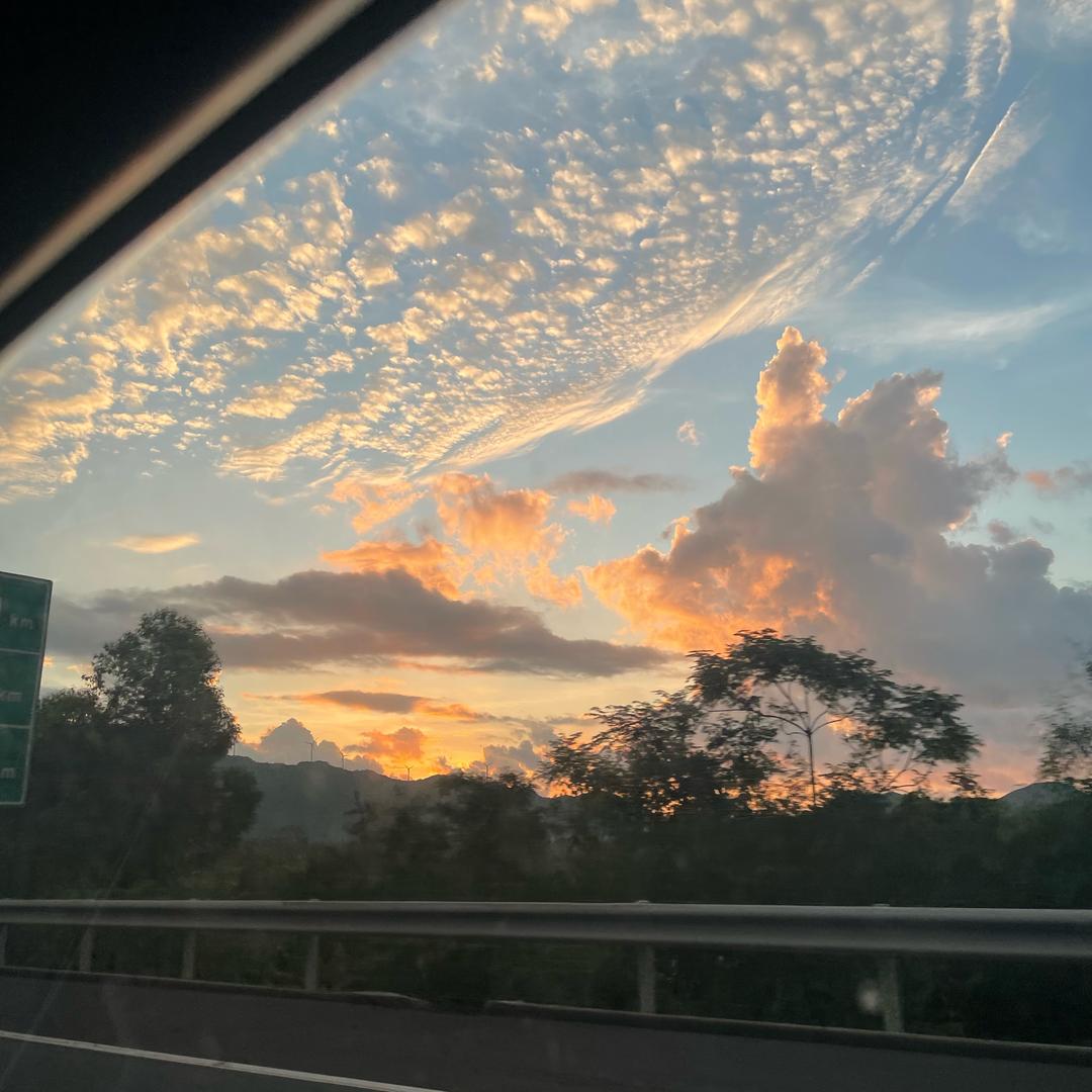 忧郁的章鱼哥🐙