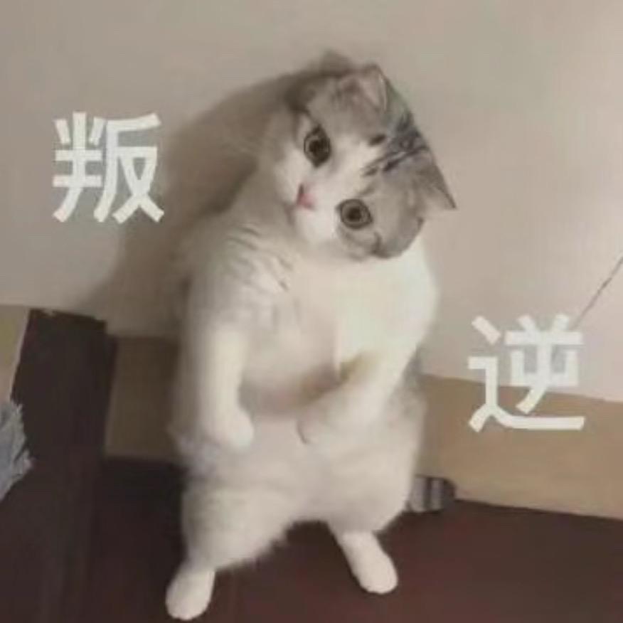 日出之前请将悲伤终结