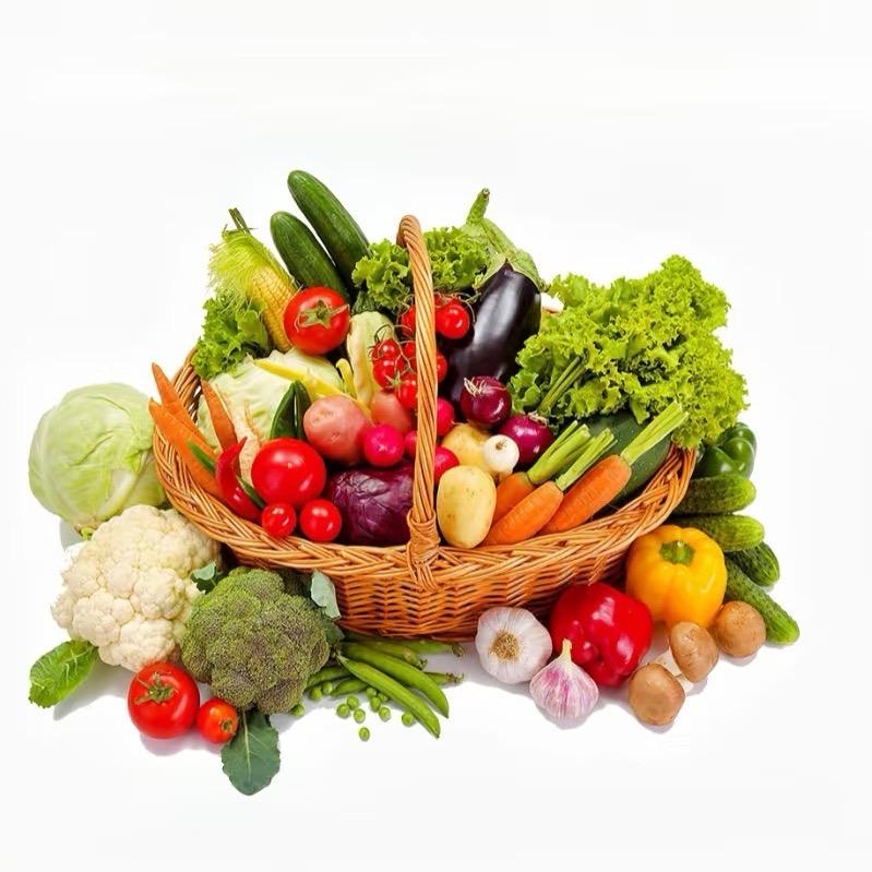 四季蔬果种业企业店