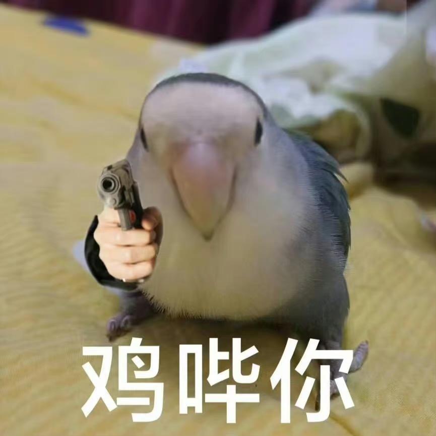 瞎摸生一堆
