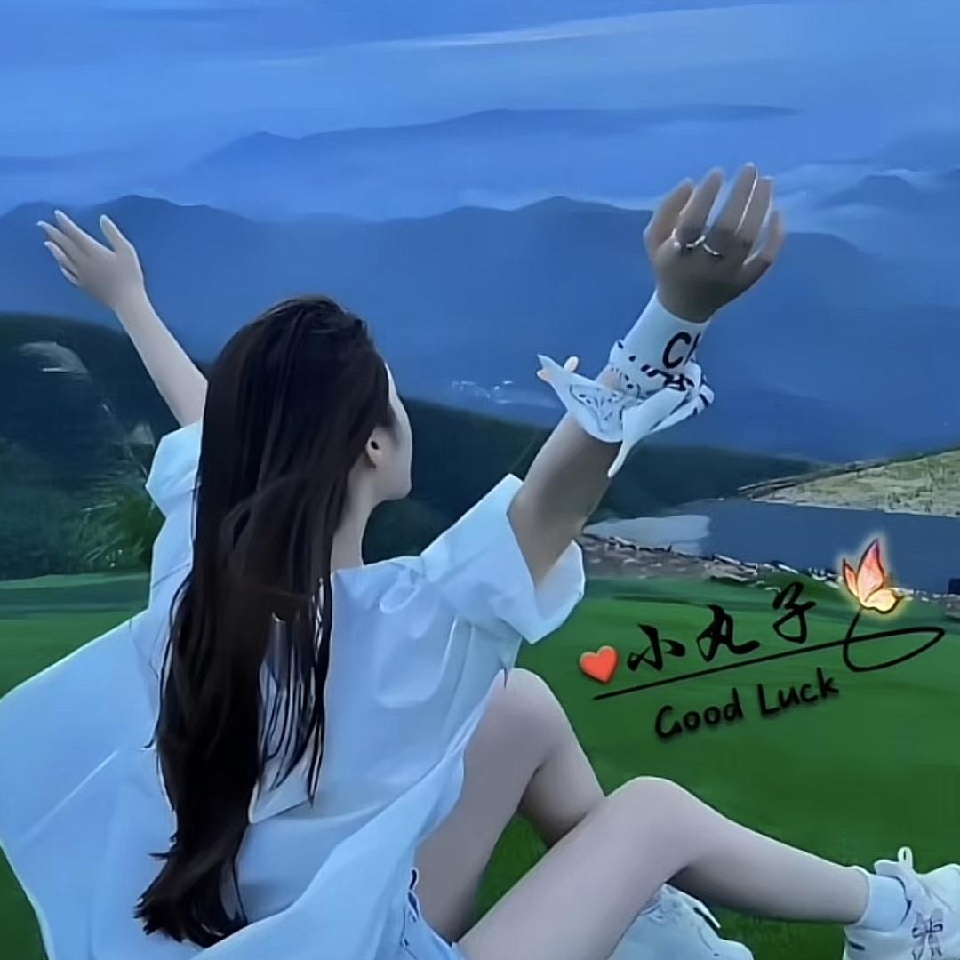 樱桃小丸子模玩1店