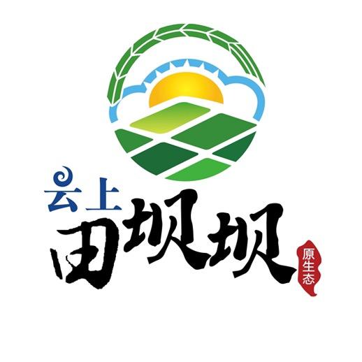 云上田坝坝