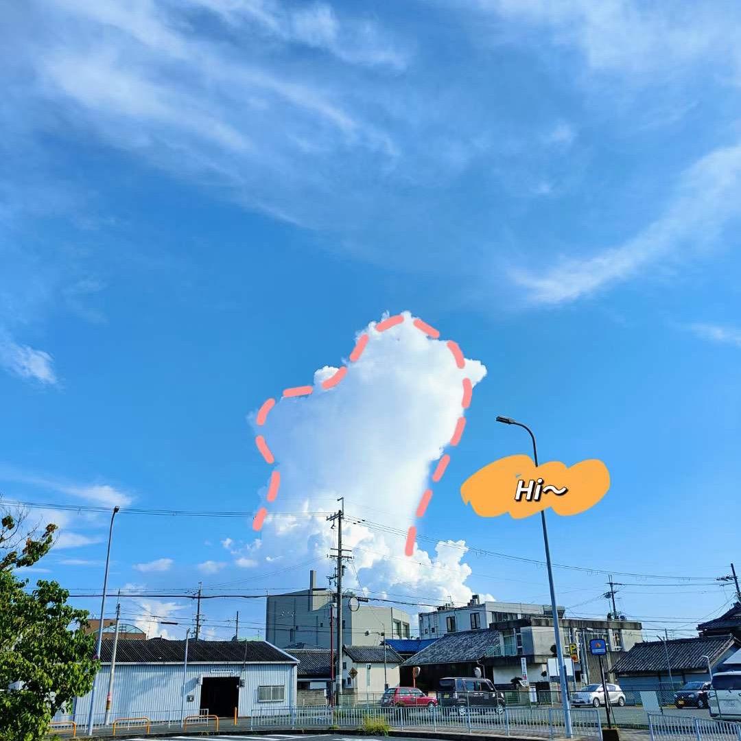 ZY的🐟
