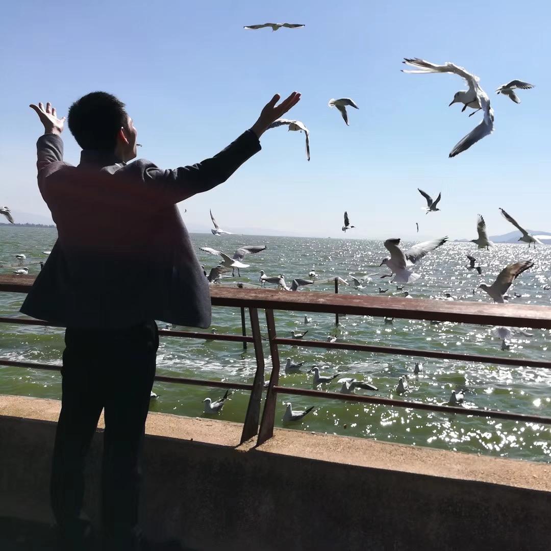 杨哥爱五谷