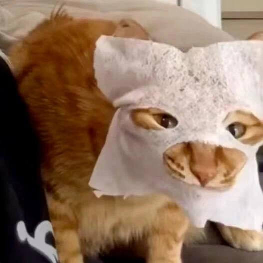 福气先森宠物仓