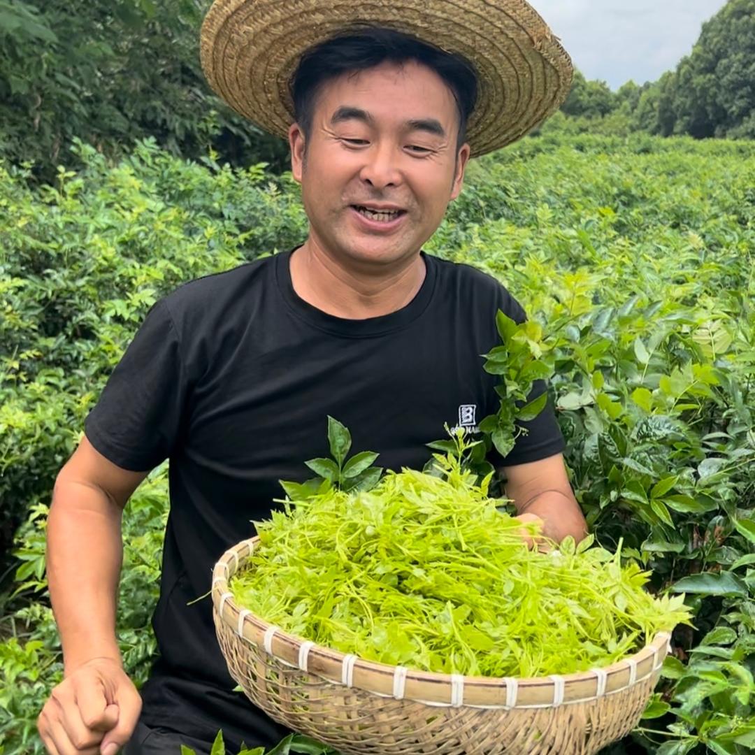 平哥的故事