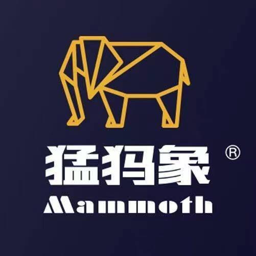 猛犸象家居美缝
