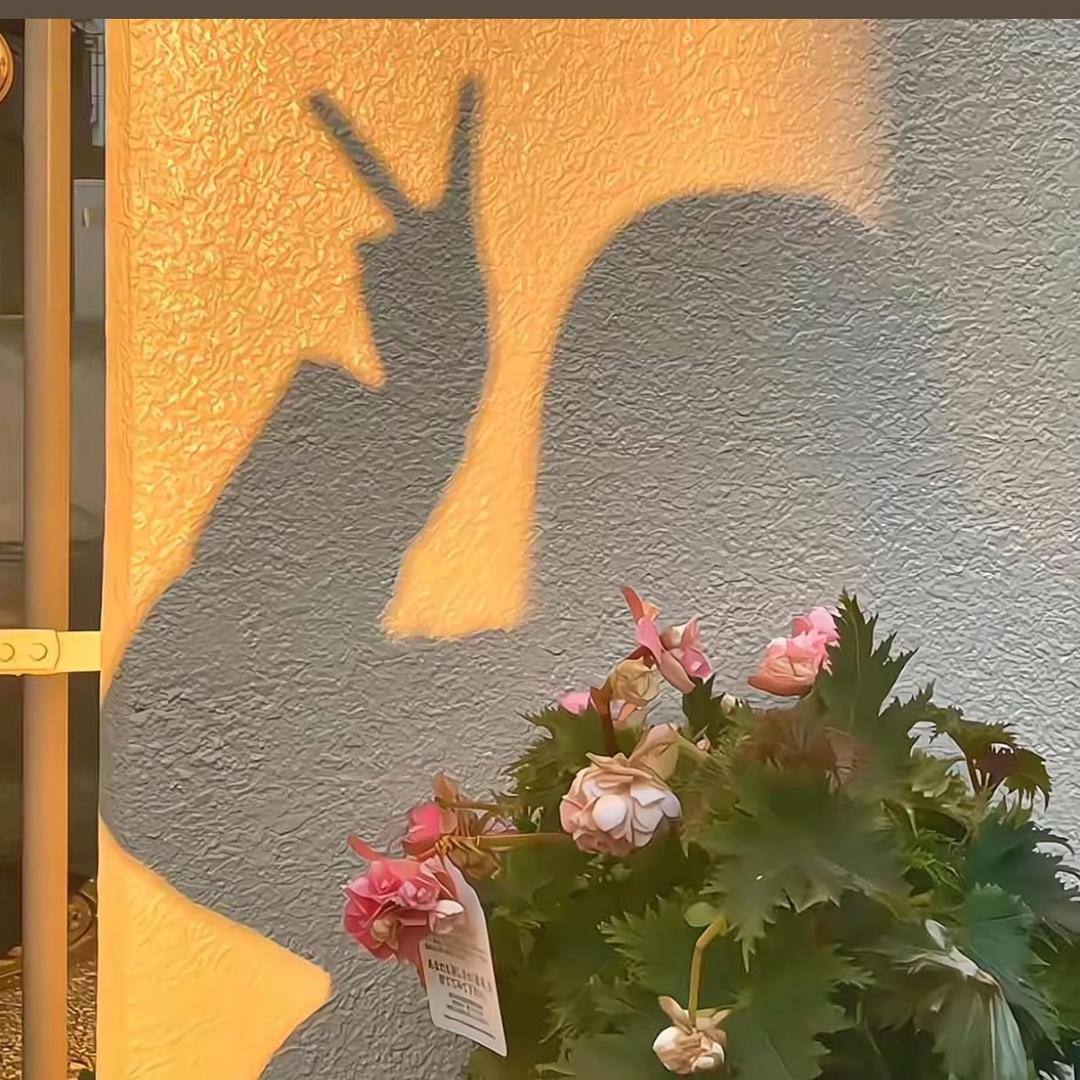 LN.a