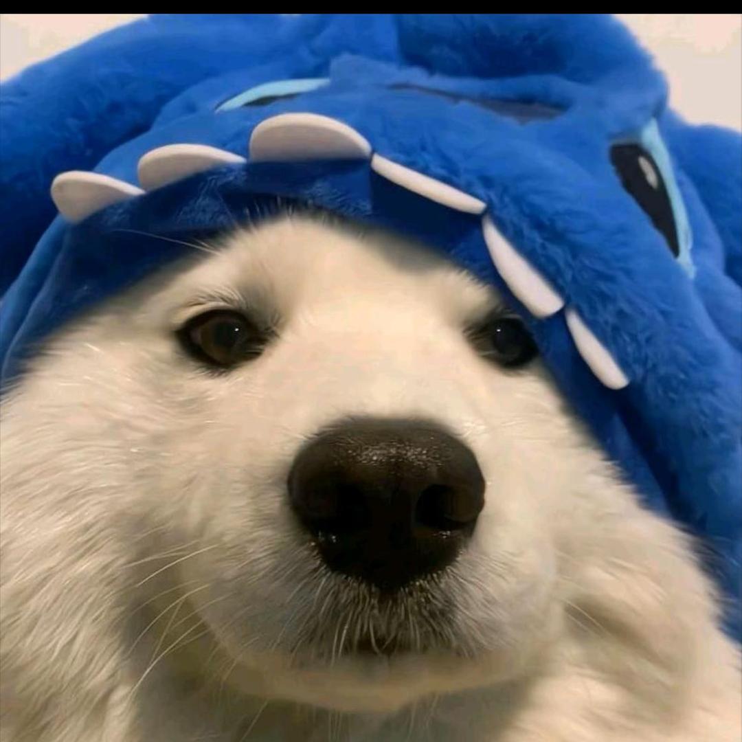 财阀家的穷少爷