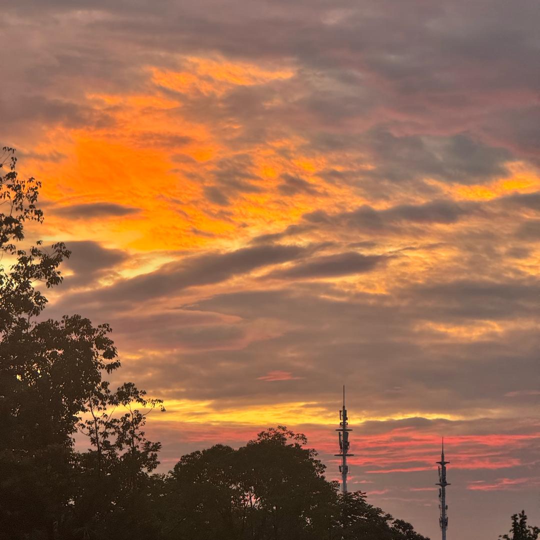 🥀༊ღ᭄拒绝共享꧔ꦿ