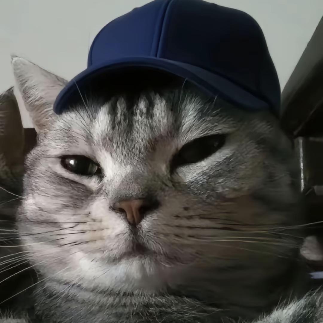 爱吃榴莲的炒饭