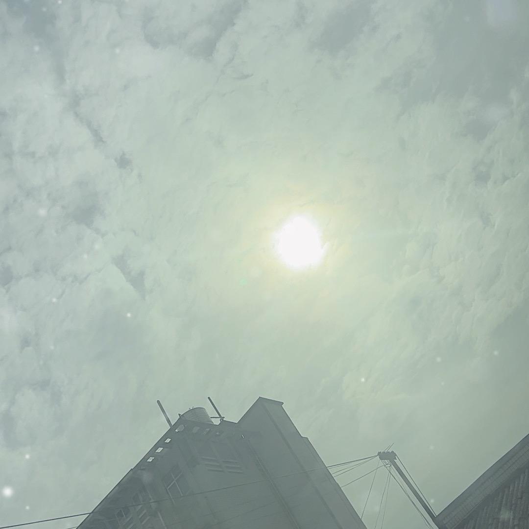 木