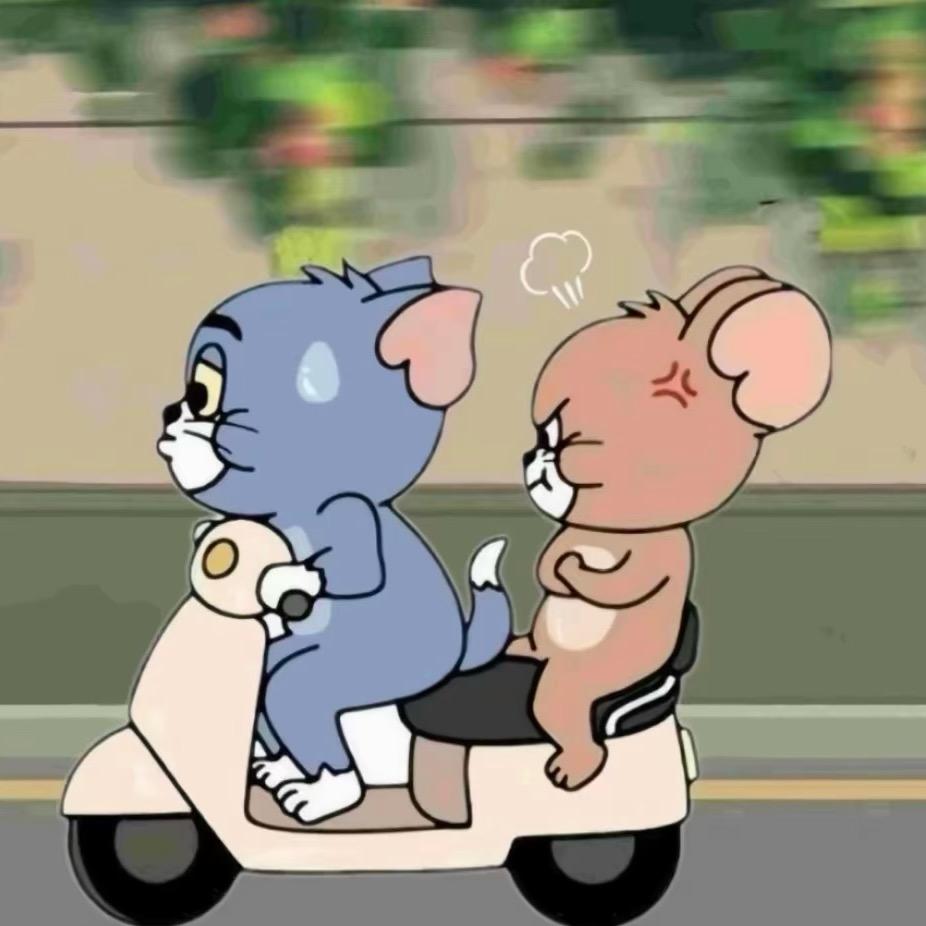 吴好好（揭阳鹏发方程豹宣传“大使”）