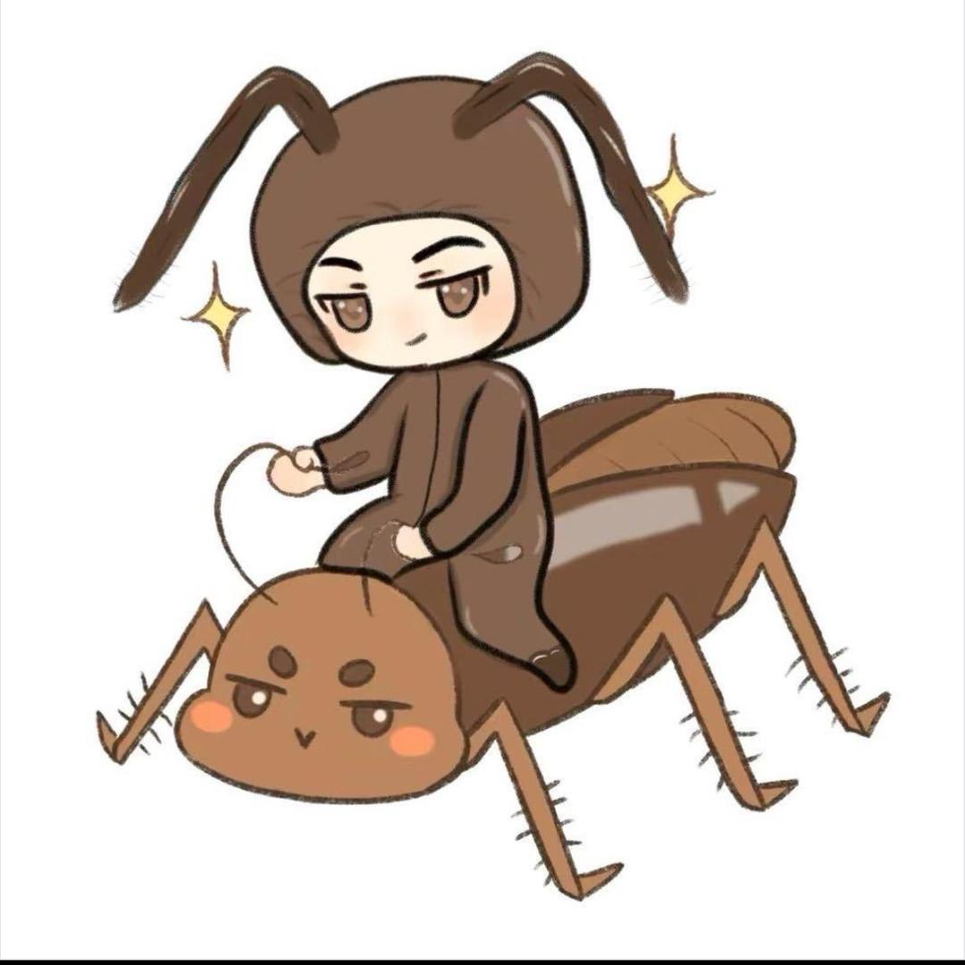 阿达西🪳