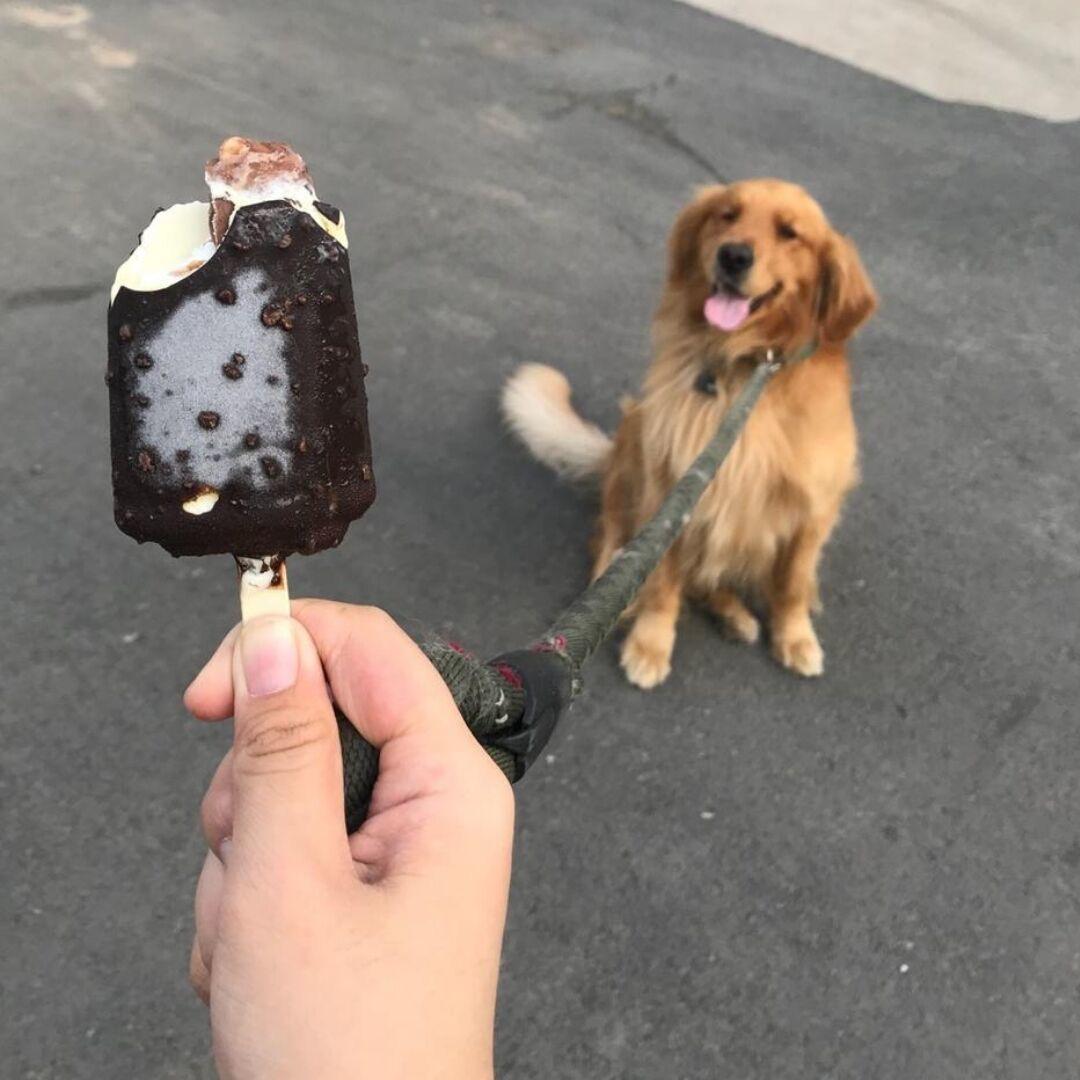 可爱又迷人的反派角色