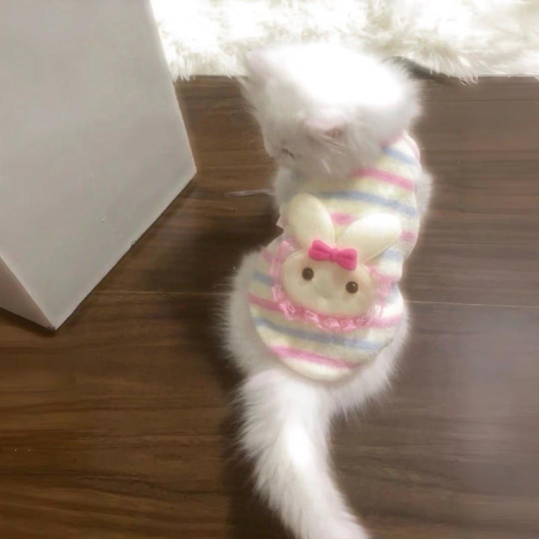 慧慧宝
