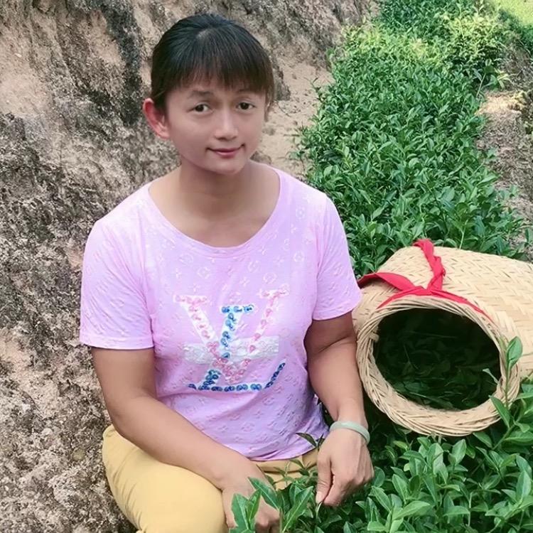 茶叶小花12抖