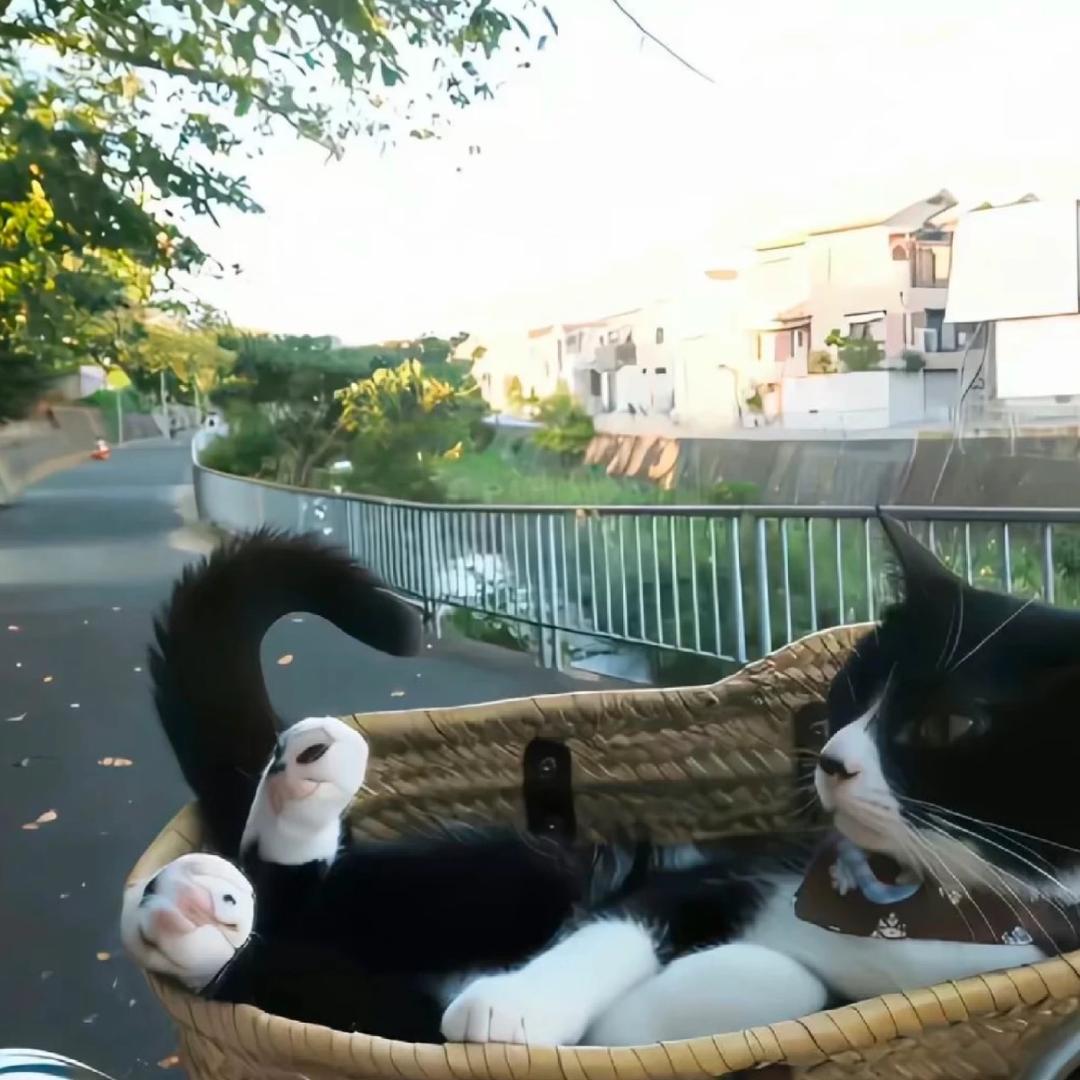 海上钢琴师