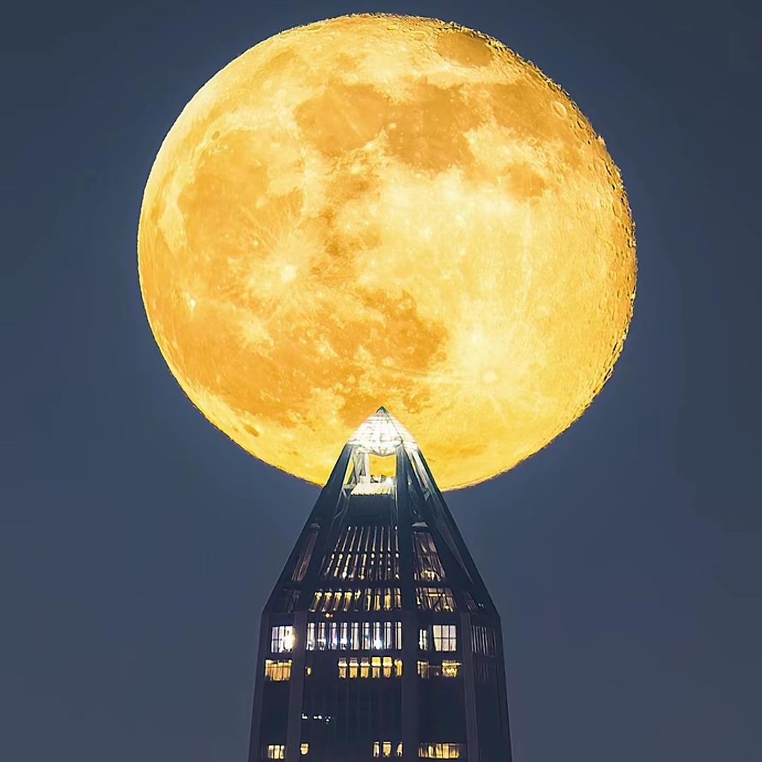 老登不爱穿秋裤